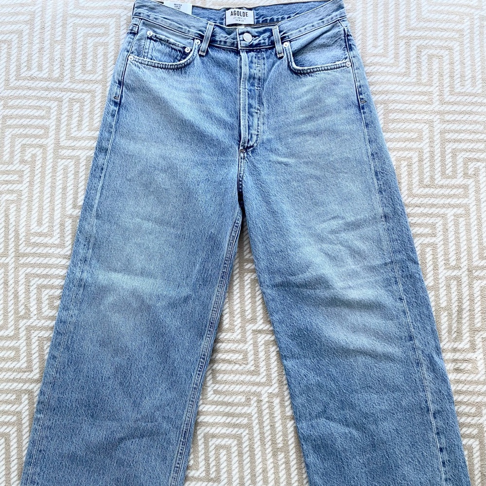 Agolde Ren High Rise in Disclosure color